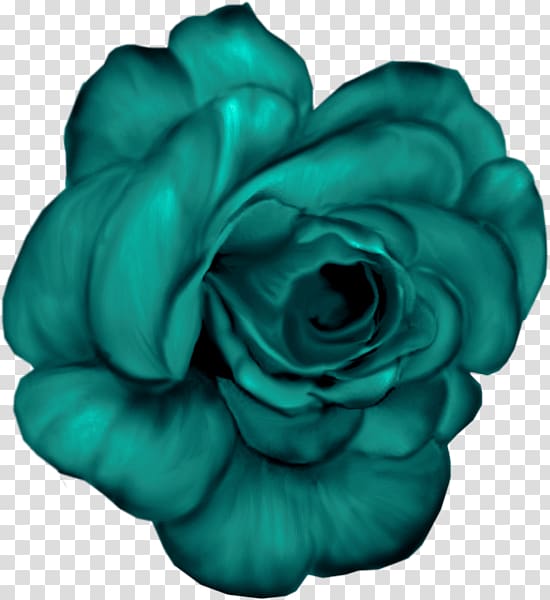 Garden roses Flower Blue , flower transparent background PNG clipart