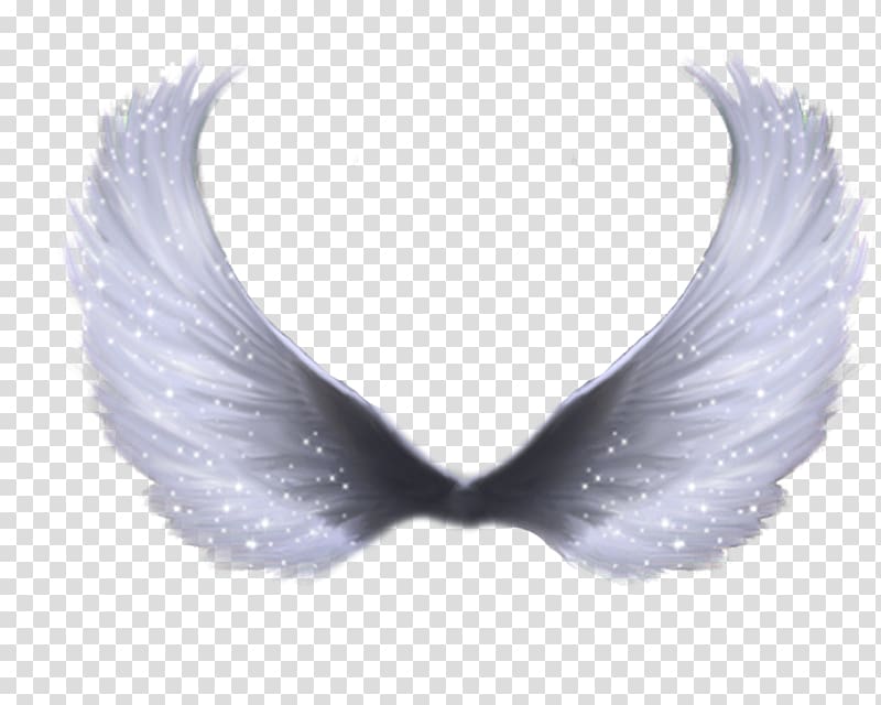 gray angel wing illustration, Wing , Wings transparent background PNG clipart