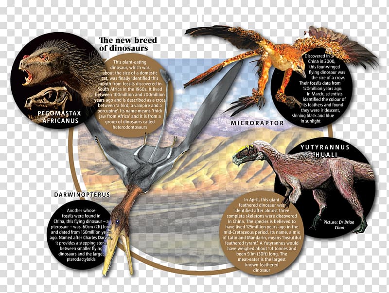 flying dinosaur carnivore clipart