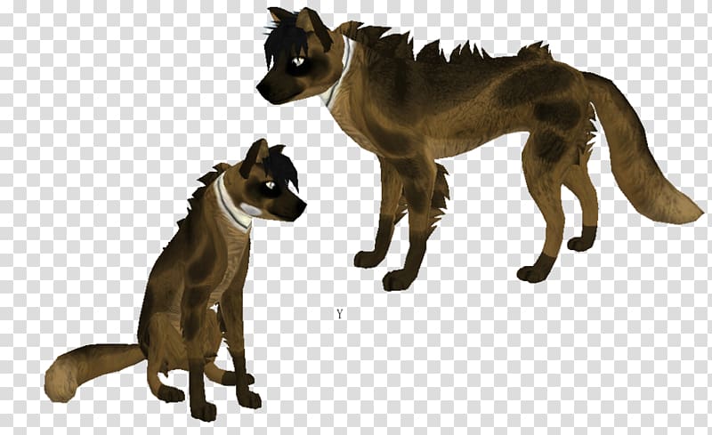 Cat Dog Animal Carnivora Pet, sports background shading transparent background PNG clipart