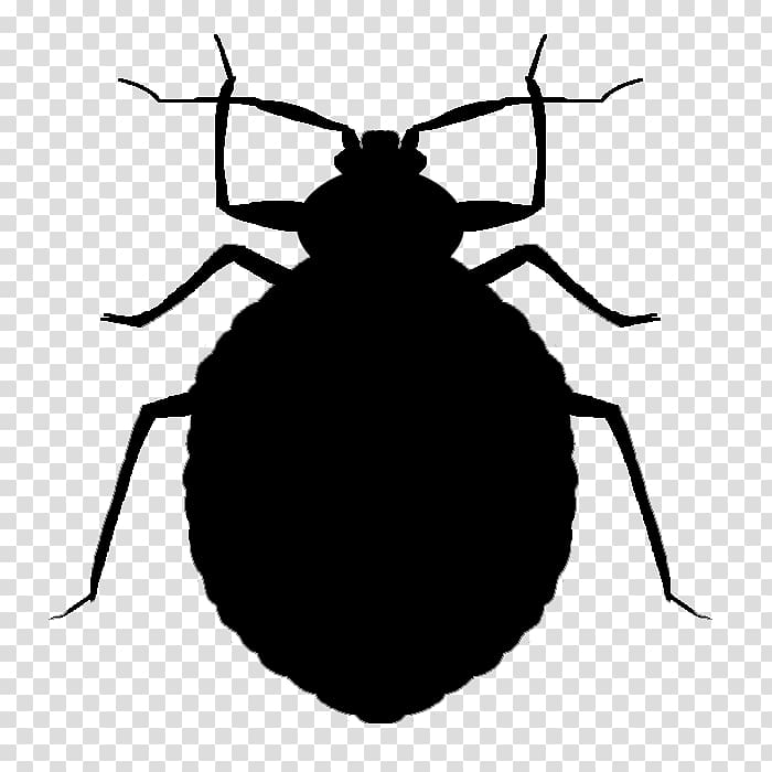 Mosquito Insect Bed bug bite Pest Control, bugs transparent background PNG clipart