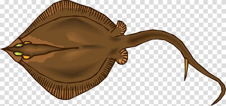 Myliobatoidei Estuary stingray Animal , others transparent background PNG clipart