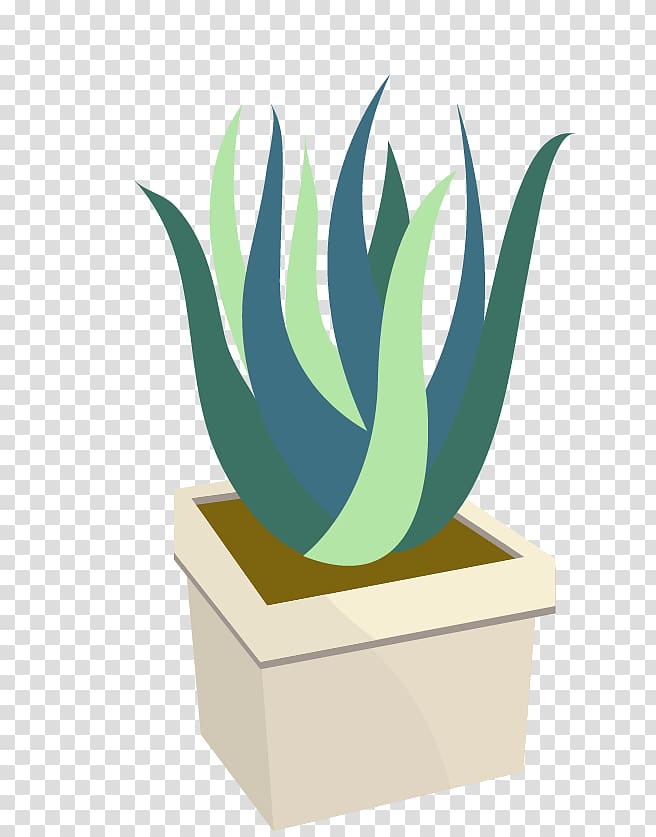 Cactaceae Prickly pear Euclidean Icon, cactus transparent background PNG clipart