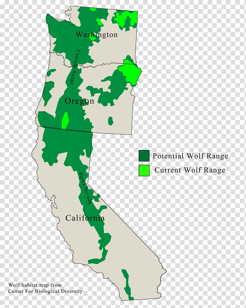 Oregon Coast Range British Columbia wolf U.S. Route 101 in Oregon Territory, others transparent background PNG clipart