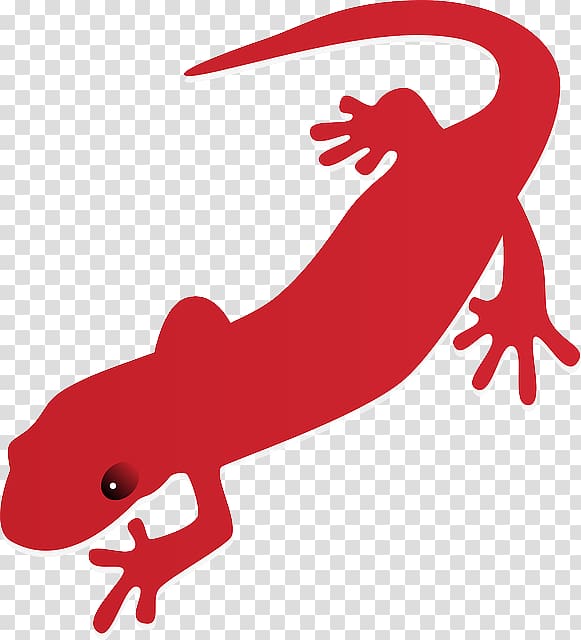 Salamander Newt , salamander transparent background PNG clipart