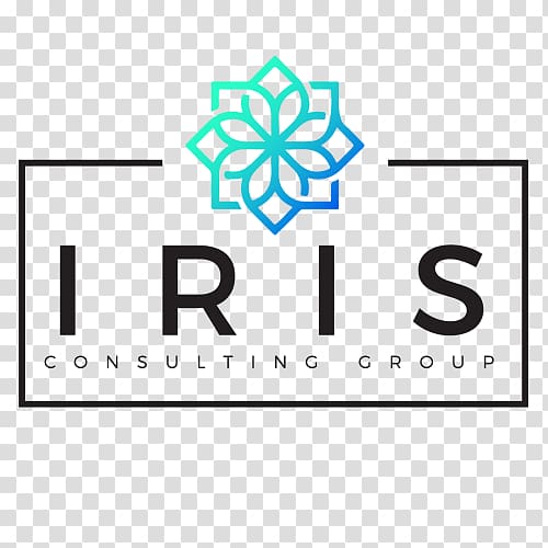 Consultant Management consulting Business Consulting firm Service, Business transparent background PNG clipart