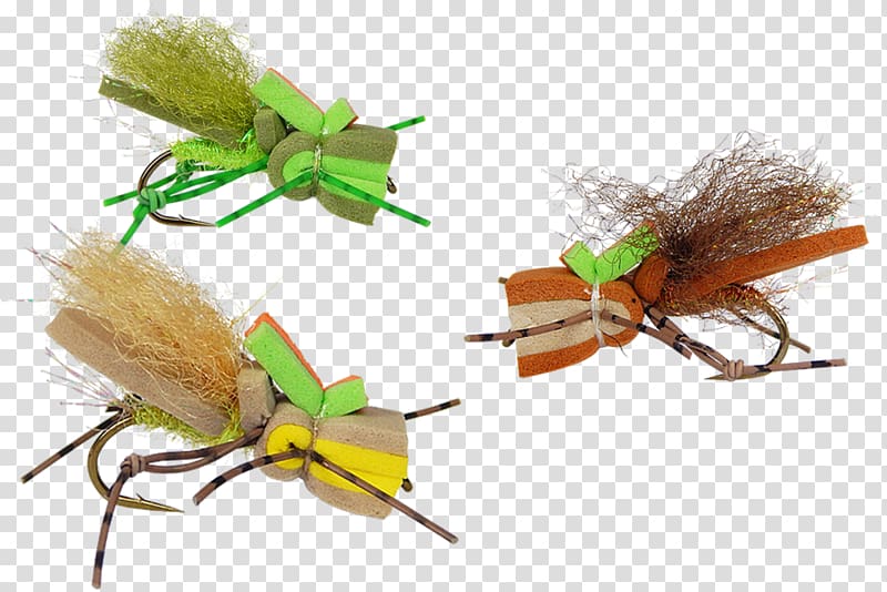 Artificial fly Hackles Fly fishing, Holly Flies transparent background PNG  clipart