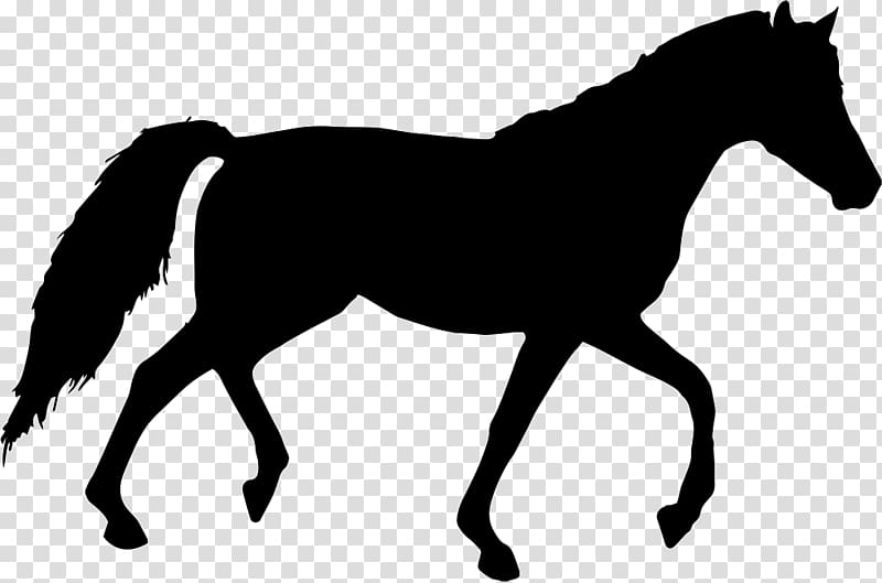 Horse Silhouette , horse transparent background PNG clipart