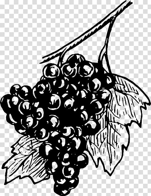 Common Grape Vine White wine Concord grape, a bowl of plum juice transparent background PNG clipart