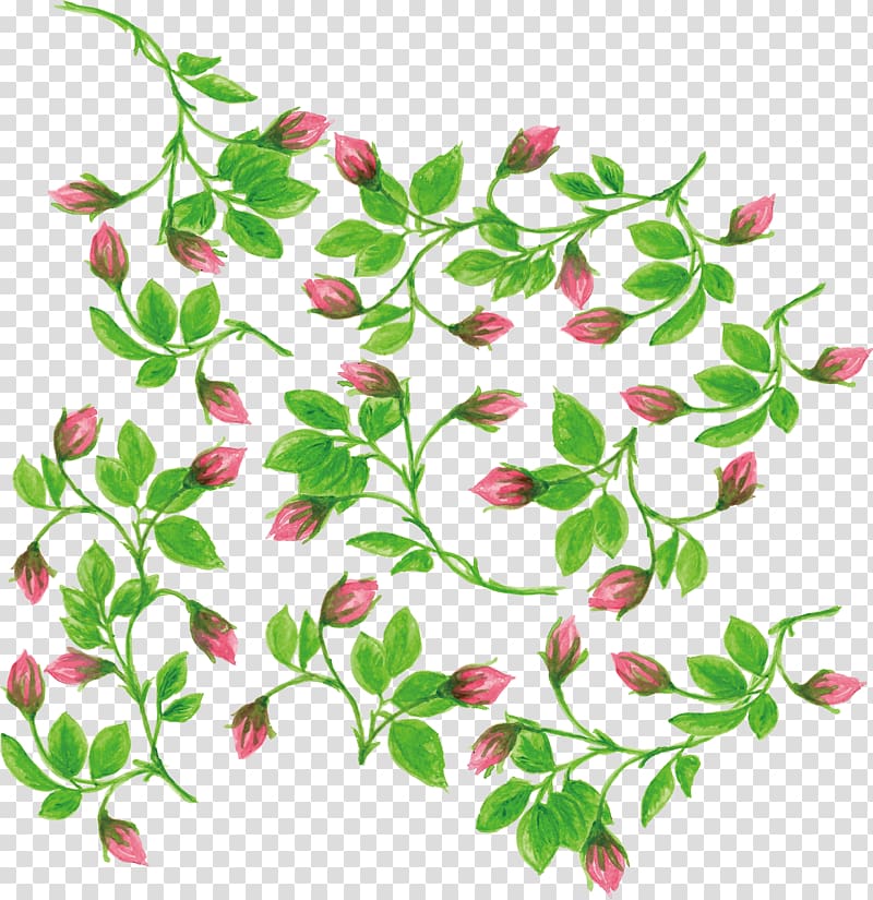 maroon and green plants illustration, Watercolor painting Flower, Water color romantic flower vine transparent background PNG clipart