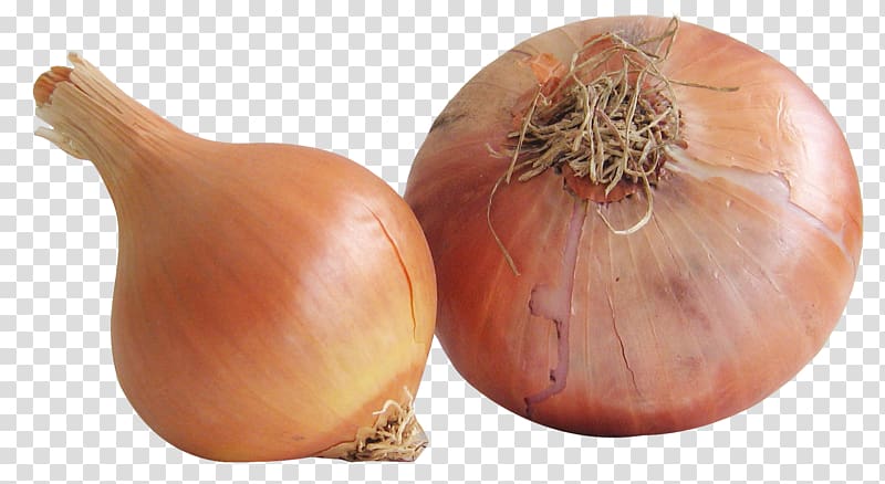 Yellow onion Vegetable Shallot Food, Onion transparent background PNG clipart