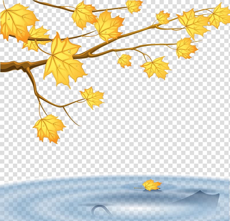 Eleven Minutes Like the Flowing River Author Publishing DC Books, Maple autumn transparent background PNG clipart