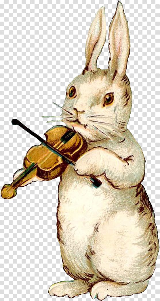 Easter Bunny Rabbit Easter postcard Illustration, Violin rabbit transparent background PNG clipart