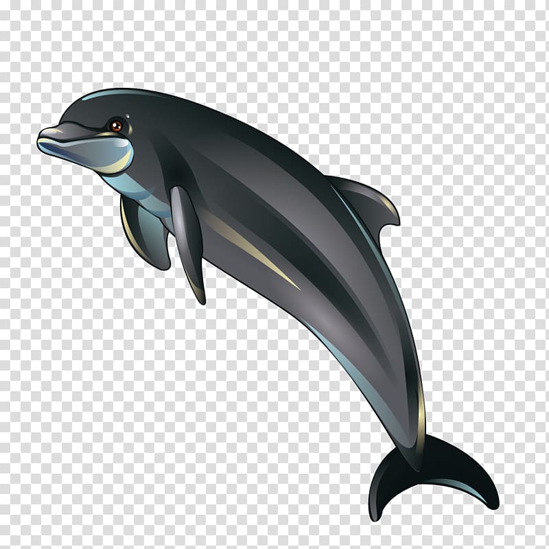 Dolphin Cartoon Illustration, Cartoon dolphin transparent background PNG clipart
