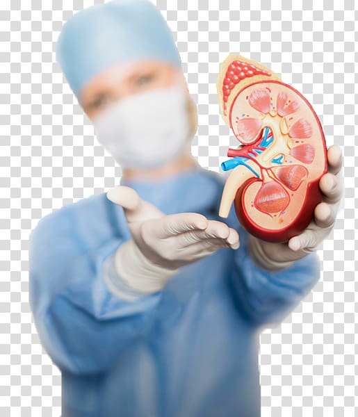 kidney failure clipart