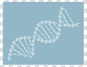 Jewellery Line Font, Jewellery transparent background PNG clipart thumbnail