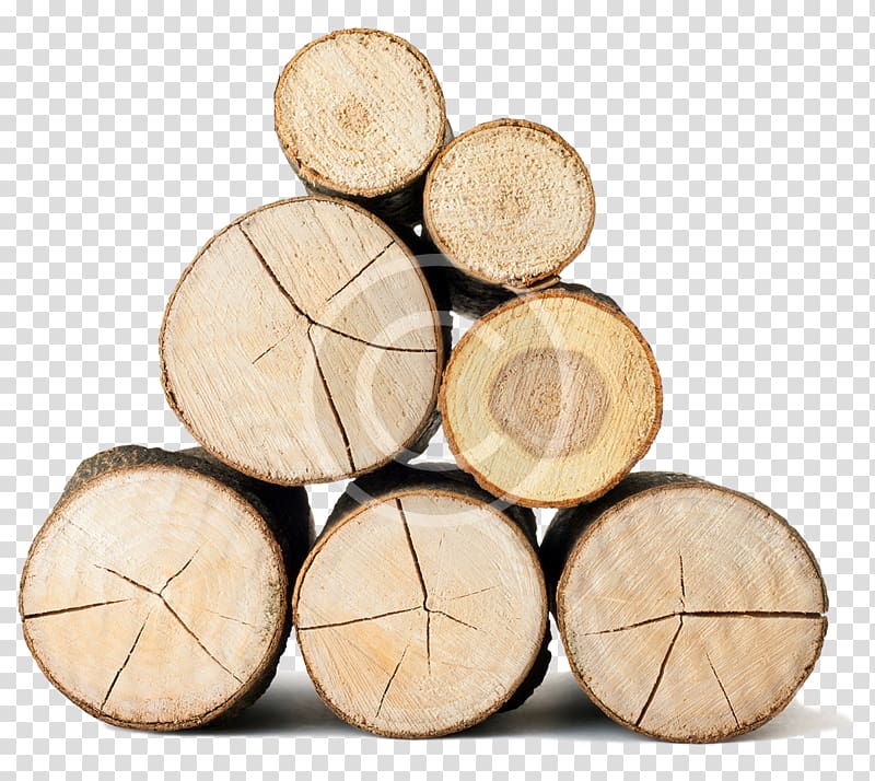 Hardwood Lumberjack Pulp, wood transparent background PNG clipart