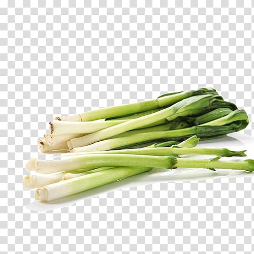 Allium fistulosum Onion Leek Scallion, Free green onions pull the material transparent background PNG clipart