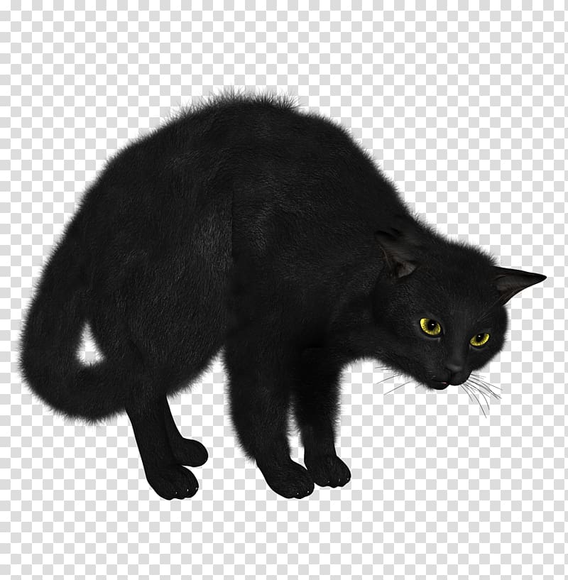 black cat illustration, Black Cat Looking transparent background PNG clipart