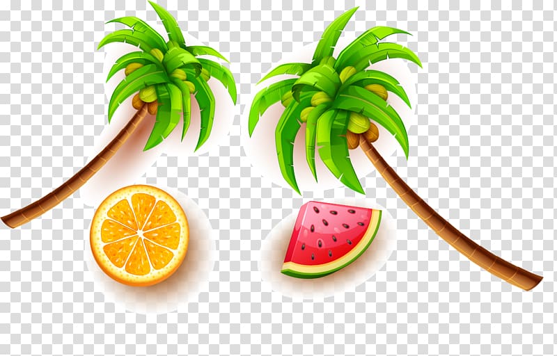 Fruit Coconut Euclidean , Coconut tree fruit Great Posters transparent background PNG clipart