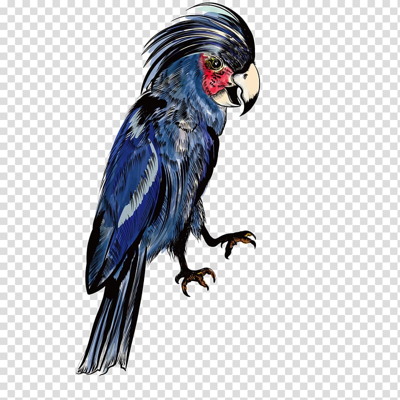 Parrot Macaw Blue, Blue Parrot transparent background PNG clipart