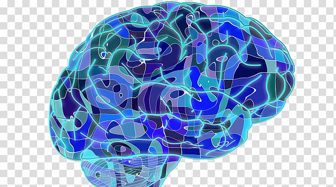 Brain Machine learning Nervous system Unconscious mind Neuroscience, brain technology transparent background PNG clipart