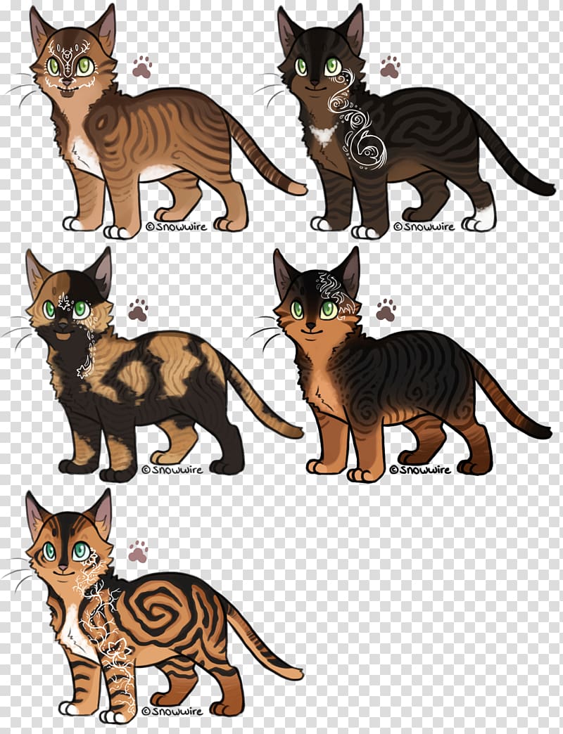 Toyger Sokoke Whiskers Kitten Domestic short-haired cat, kitten transparent background PNG clipart