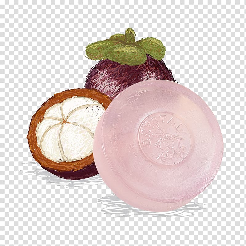 Purple mangosteen Fruit illustration Illustration, Thai Oil Soap transparent background PNG clipart