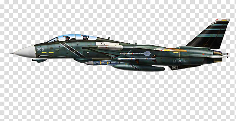 Grumman F-14 Tomcat Airplane Air Combat Military aircraft, airplane transparent background PNG clipart