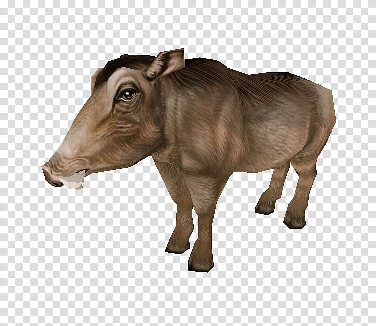 Cattle Ox Fauna Wildlife Terrestrial animal, zoo tycoon 2 animaux transparent background PNG clipart