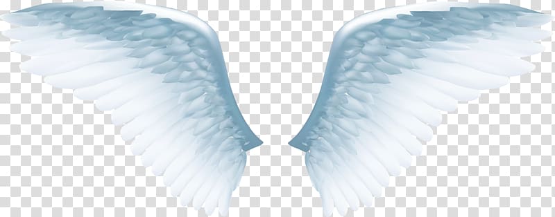 white angel wings illustration, Angel wing Icon, Exquisite white angel wings transparent background PNG clipart