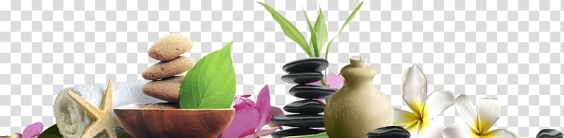white petal flowers beside jar, Day spa Massage Beauty Parlour Nu Spa & Nail, others transparent background PNG clipart