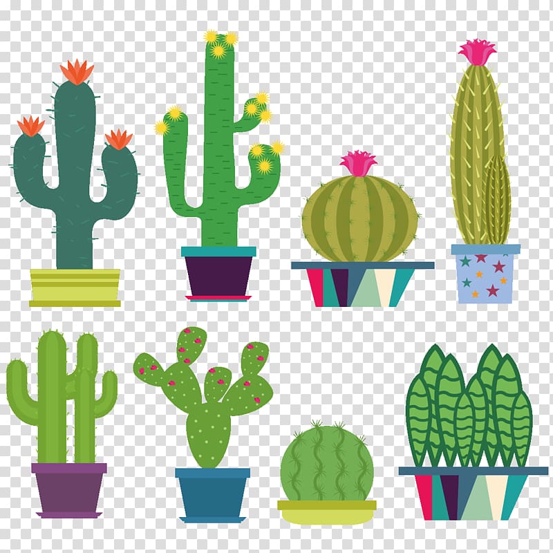 Cactaceae, cactus in pot transparent background PNG clipart