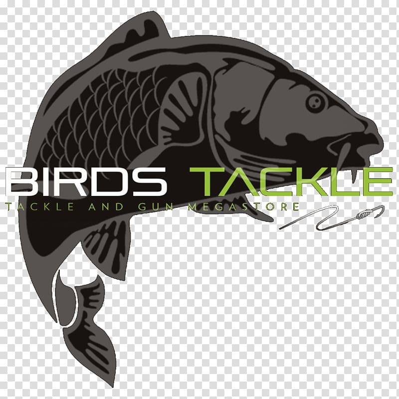 Birds Tackle Fishing tackle Fishing bait Boilie, Fishing transparent background PNG clipart