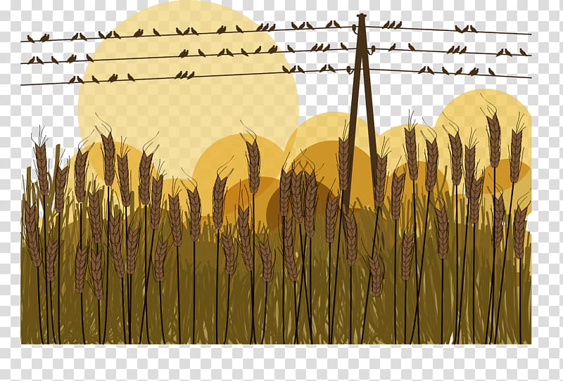Bird Silhouette Illustration, autumn paddy transparent background PNG clipart
