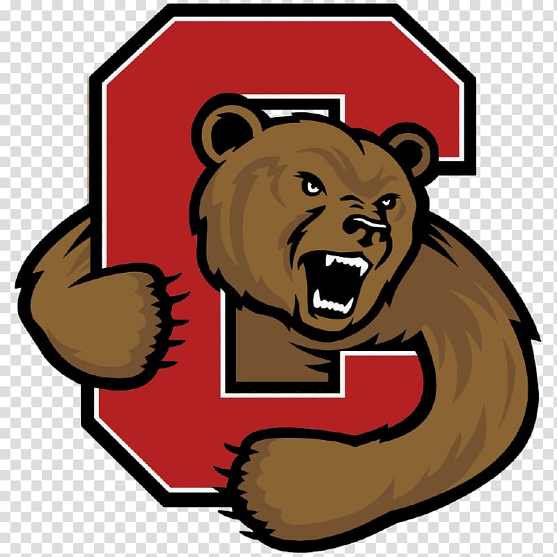 Cornell Big Red men\'s basketball Cornell Big Red men\'s ice hockey Cornell University Cornell Big Red football Ithaca, 照明logo transparent background PNG clipart