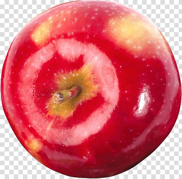 Germany Narrenhände beschmieren Tisch und Wände Pluot Note-taking Apple, others transparent background PNG clipart