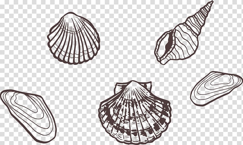 Sea snail, Seafood shells painted artwork transparent background PNG clipart