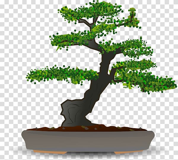 Bonsai Tree , love tree transparent background PNG clipart