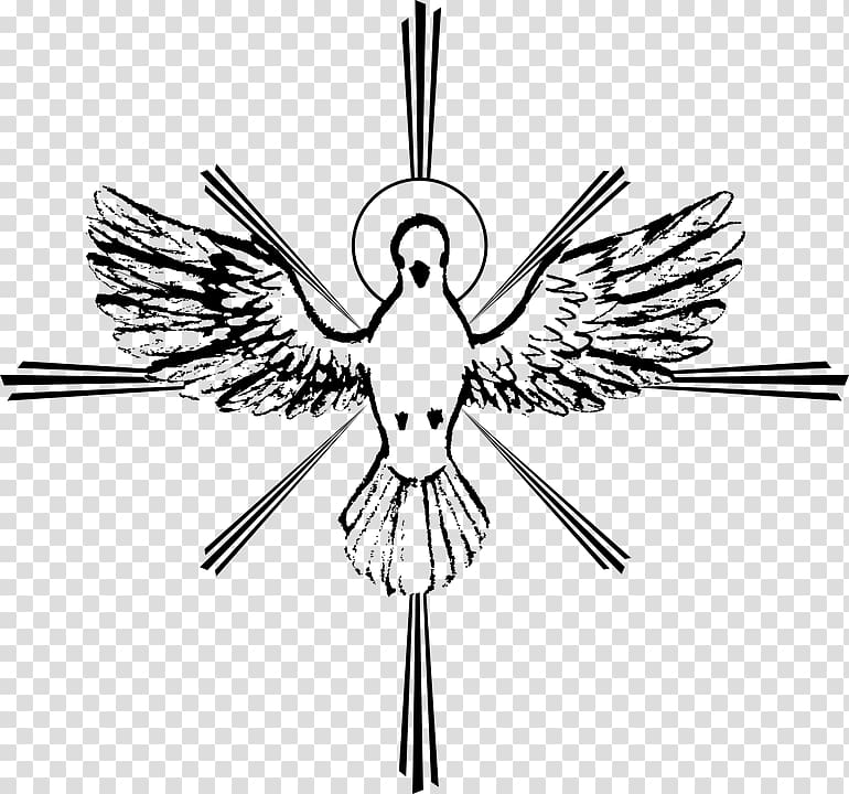Gospel of John Drawing Holy Spirit in Christianity Doves as symbols, santo transparent background PNG clipart