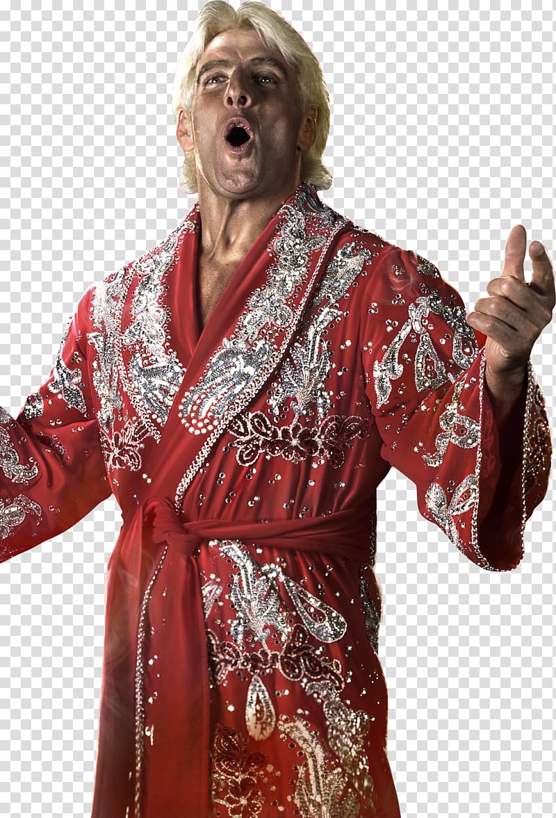 Ric Flair WWE 2K14 WWE Raw Professional wrestling, stone cold transparent background PNG clipart