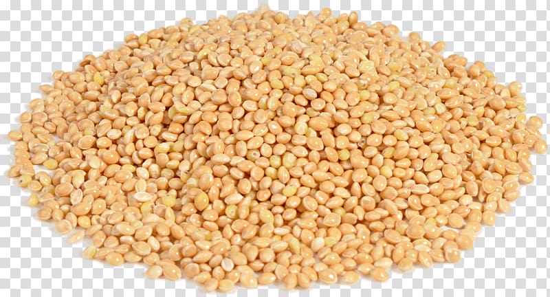 Boza Proso millet Groat Cereal, millet transparent background PNG clipart