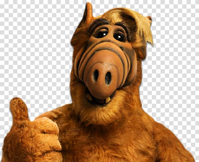 ALF Television show Melmac Extraterrestrial life, frank always sunny transparent background PNG clipart