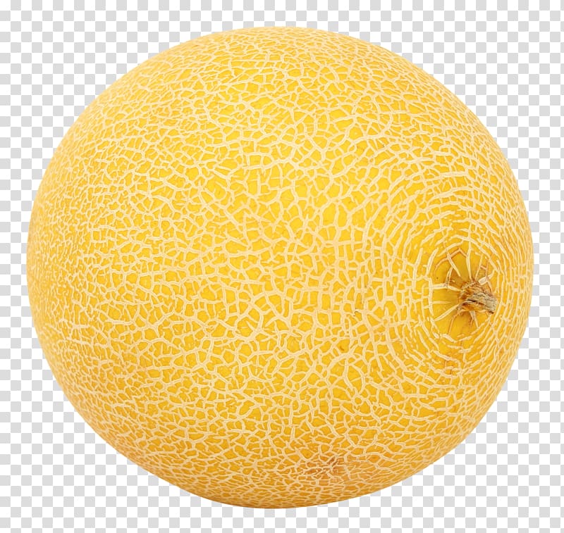 Melon transparent background PNG clipart