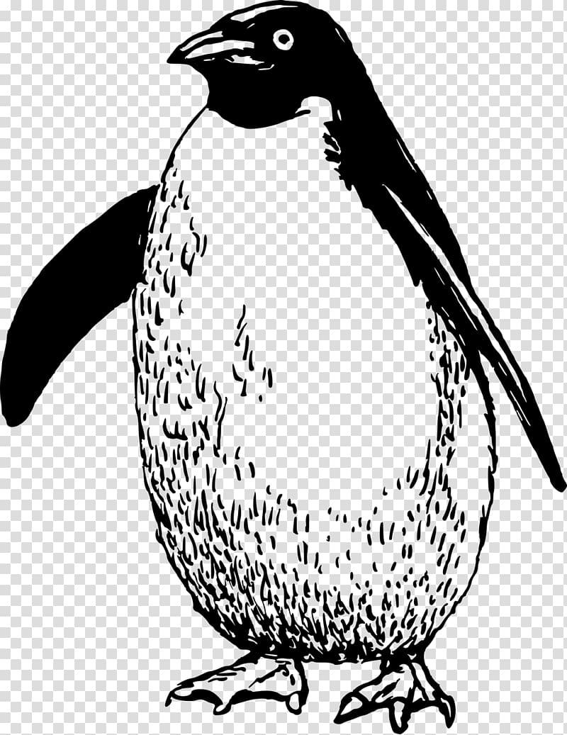 Penguin Flightless bird Antarctica , Penguin transparent background PNG clipart