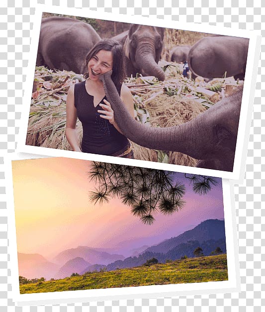 Chiang Mai Work and Travel USA Travel visa montage Frames, Chiang Mai transparent background PNG clipart