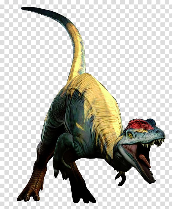Tyrannosaurus Velociraptor Terrestrial animal, others transparent background PNG clipart