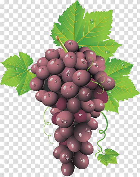 Common Grape Vine Wine , wine transparent background PNG clipart
