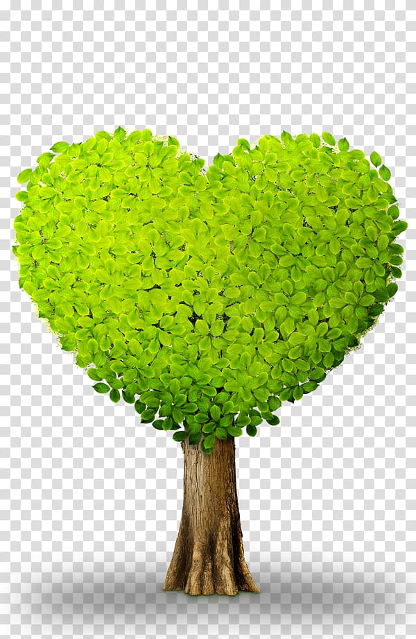 Heart Plant Green Chemical element, Heart tree transparent background PNG clipart