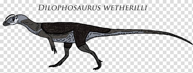Dilophosaurus Sinemurian Velociraptor Theropods Chilesaurus, youtube transparent background PNG clipart